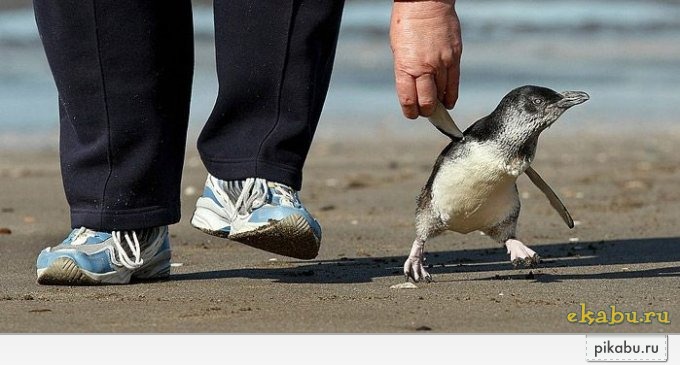 Папанька... ну пошли за мороженным....