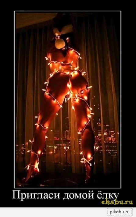 А вот такую ёлку я не выкину... даже в ноябре....