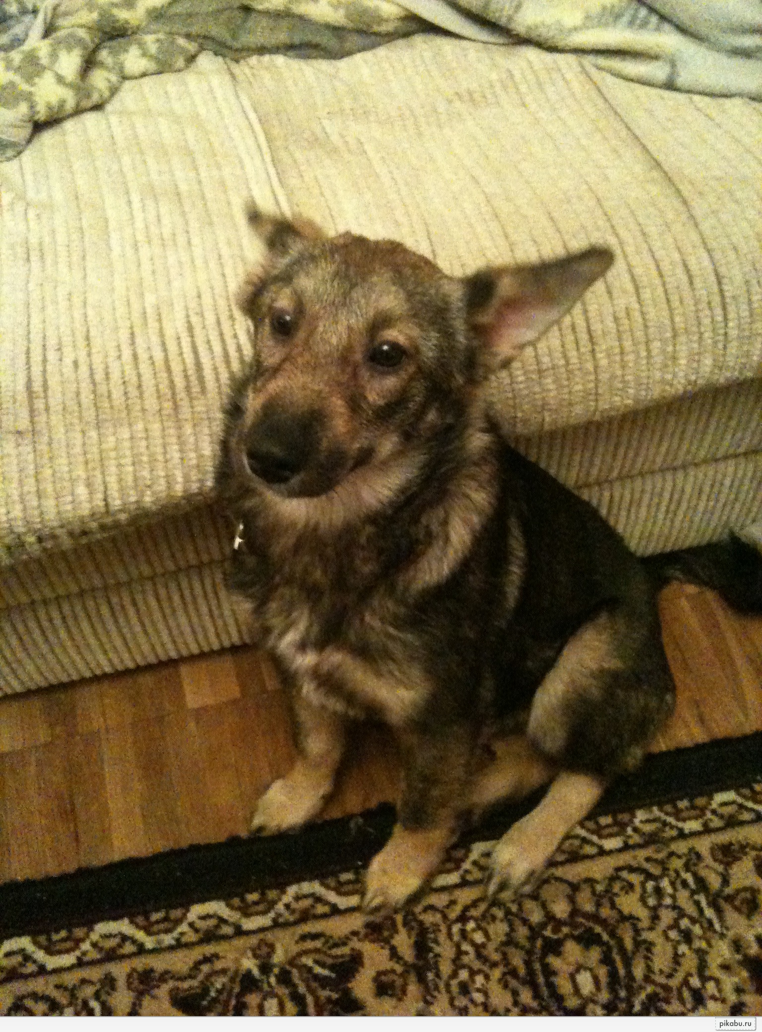 !!!,   !  , - 4 ,  ,       .