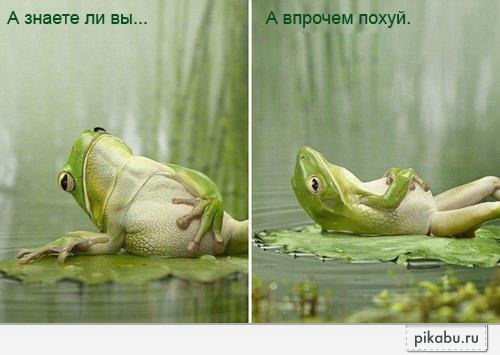 � ������ �� ��...