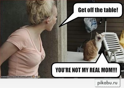 ��� �� ����� ��� ��������