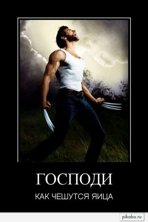 Как я его понимаю) | Пикабу