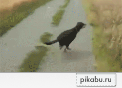 ������-�������