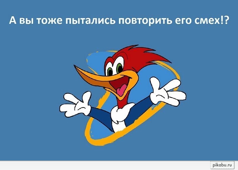 ���� ����� ����