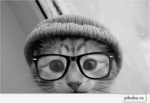 ��������, ����� �������.