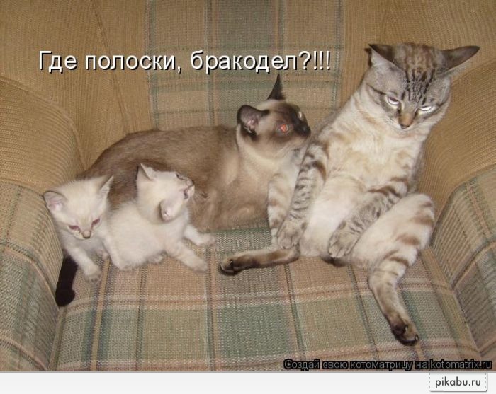 � �� ������ �� ����� ���������? ))