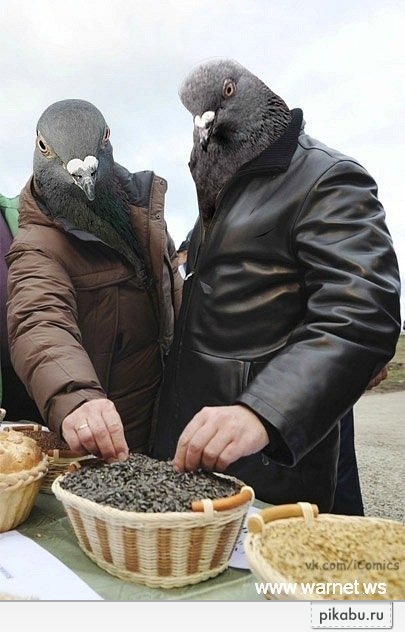 2 ������ � �����