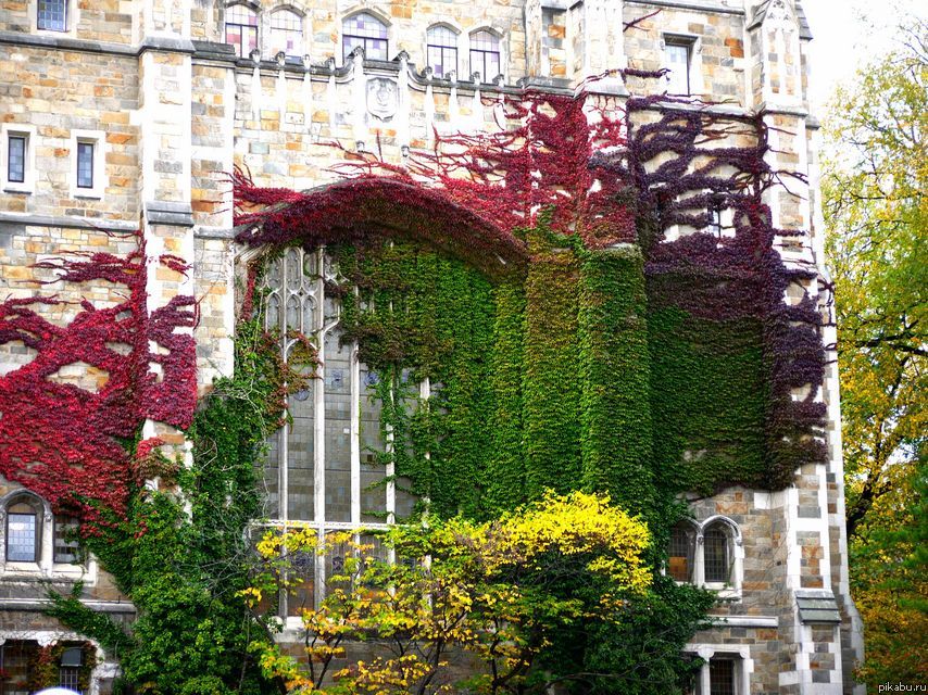 Природная красота