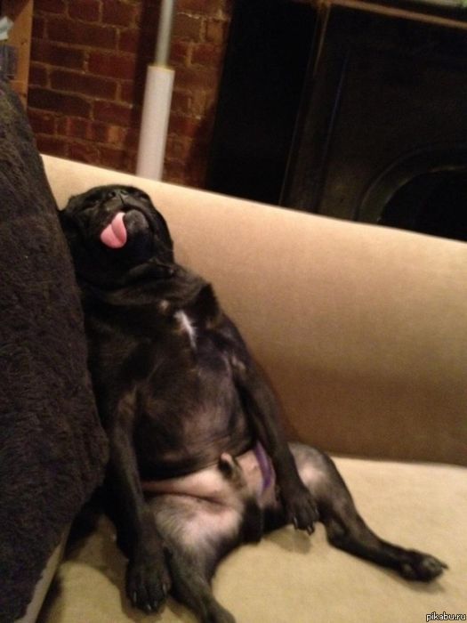 �� ������ �������