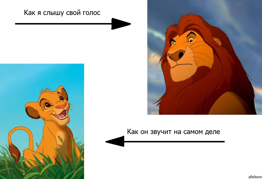 ��� �����