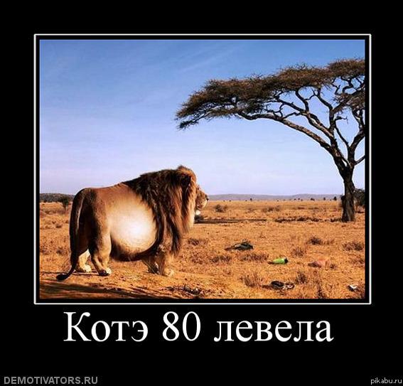 ���� 80lvl