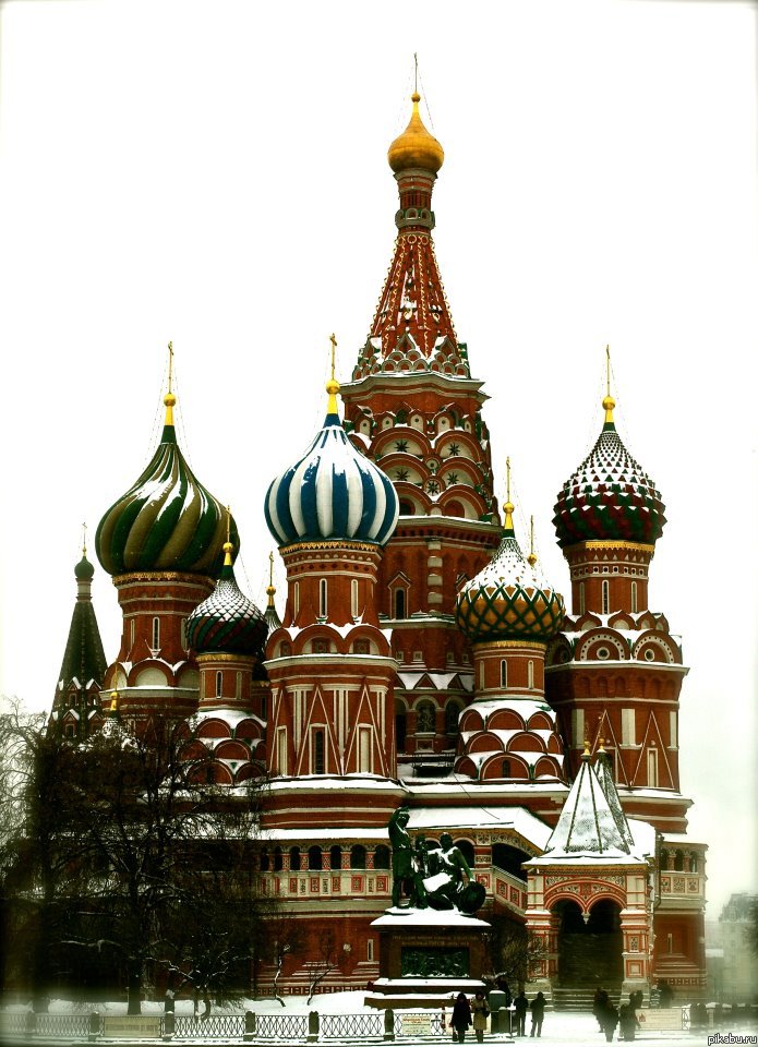 Наш красавец | Пикабу