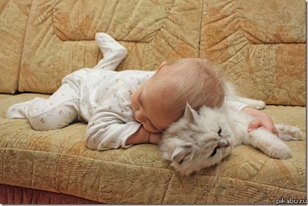 Очень милая подушечка :)