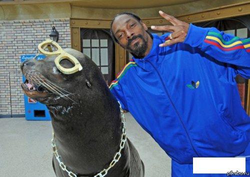 Snoop Dog & Snoop Seal))