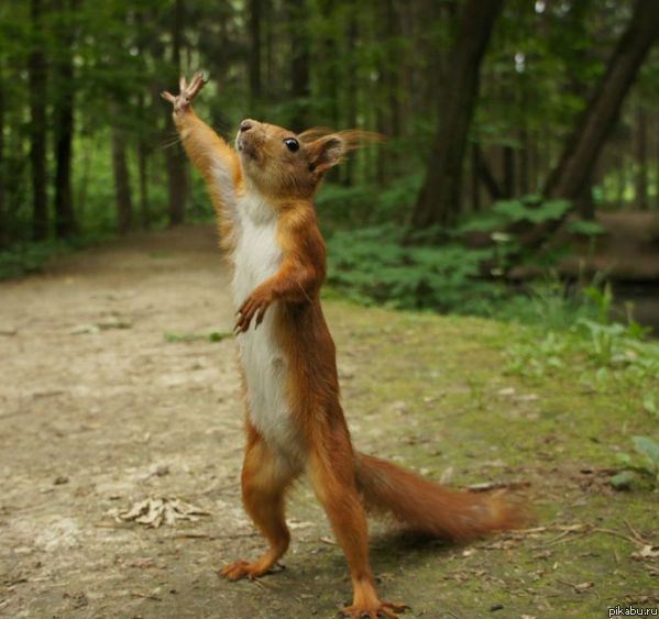 ���! �� �������� ����� �������))!