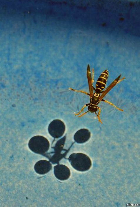 Просто красивая фотография.