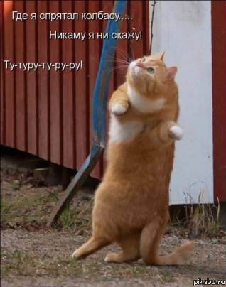 ��� � ������� �������... =)