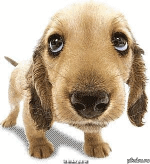 ���� ������ �����!!!!!!!!!