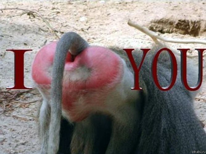 Открыточка к "празднику"