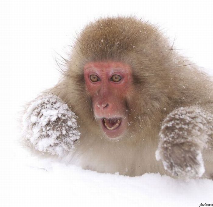 So much cocaine!!!)))