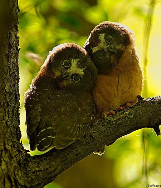 ����������:)))