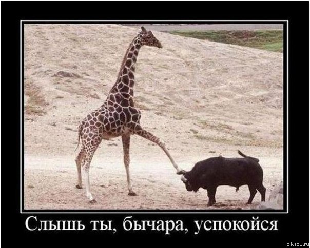 �� �� ���������, � ���� ������!