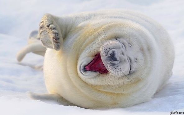 ������-�������?