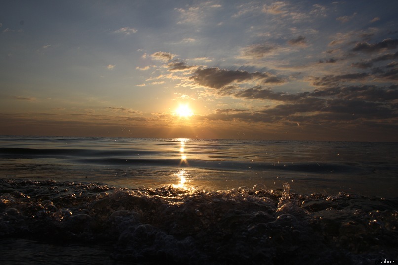 �����. ������ ����.