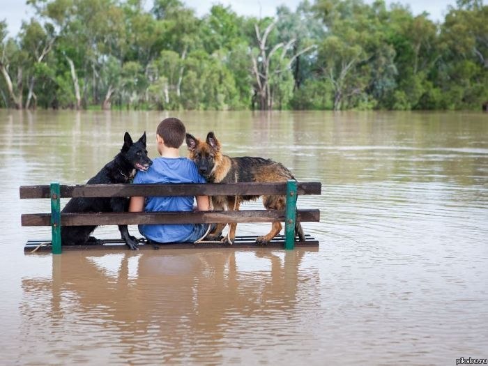 ��������� ������ ������ ��������� � �����