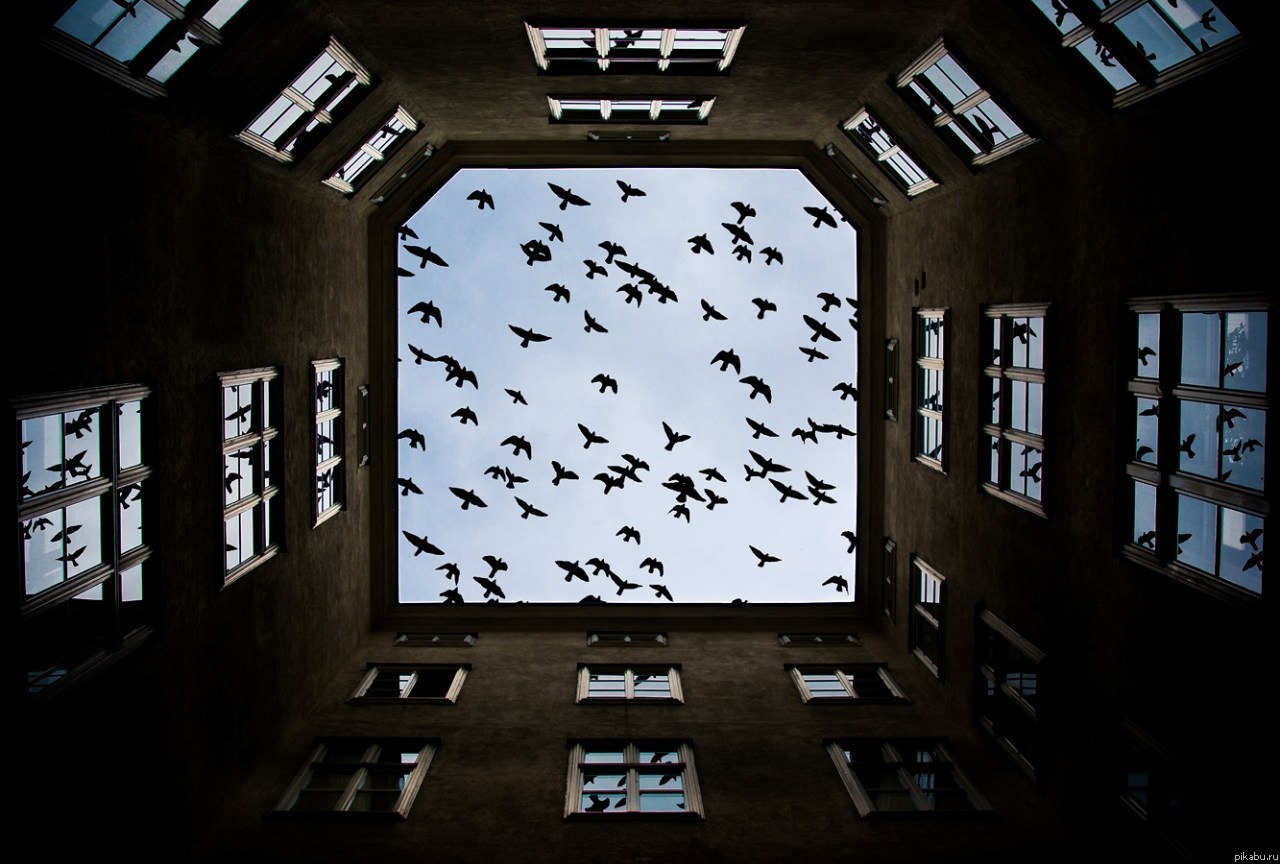 Фото на миллион