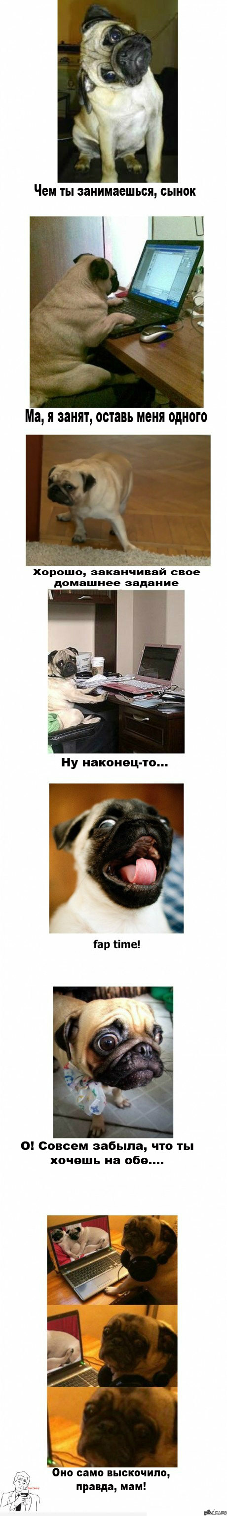 ���� ���������!!!