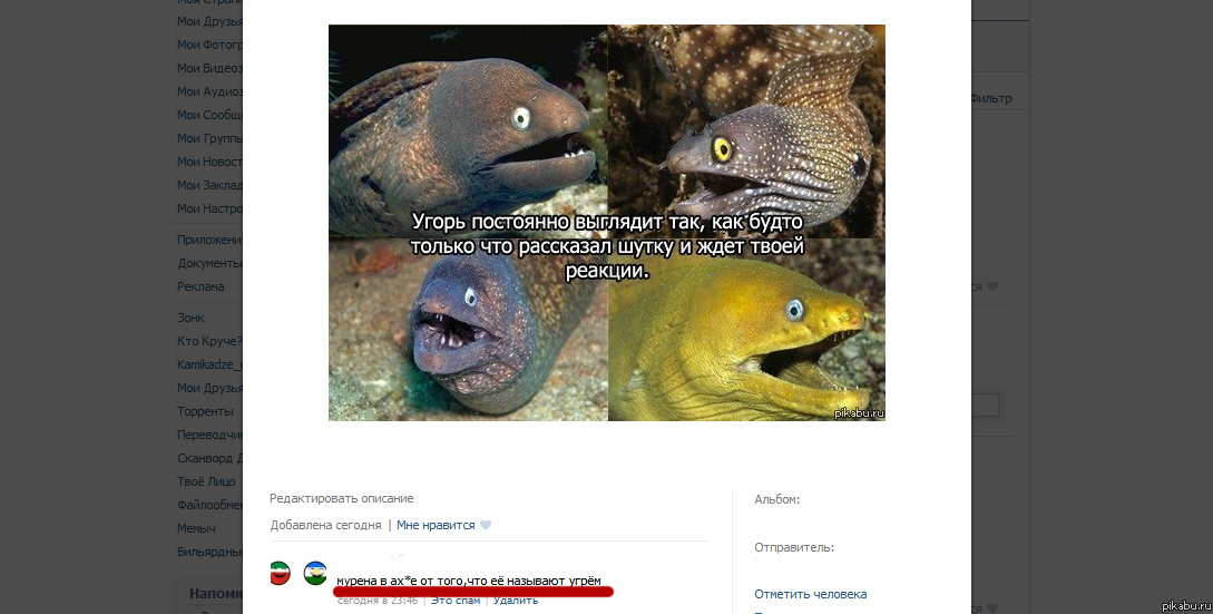 ������� ���������