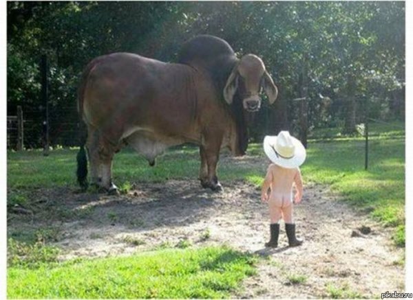 Ковбой Мальборо.Молодые годы.