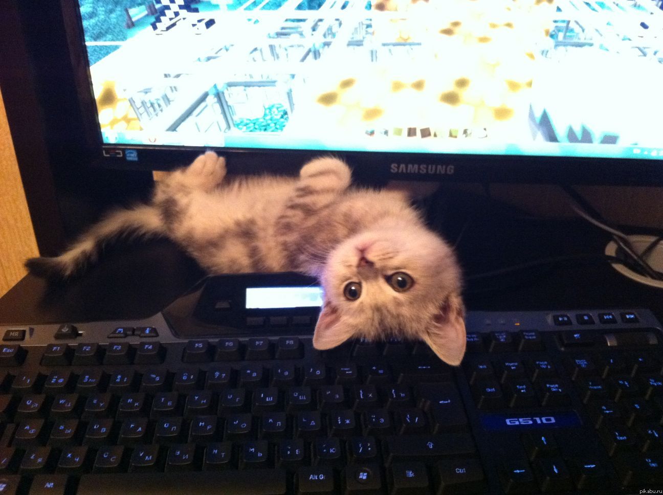 ��� ���, ��� ������� :)