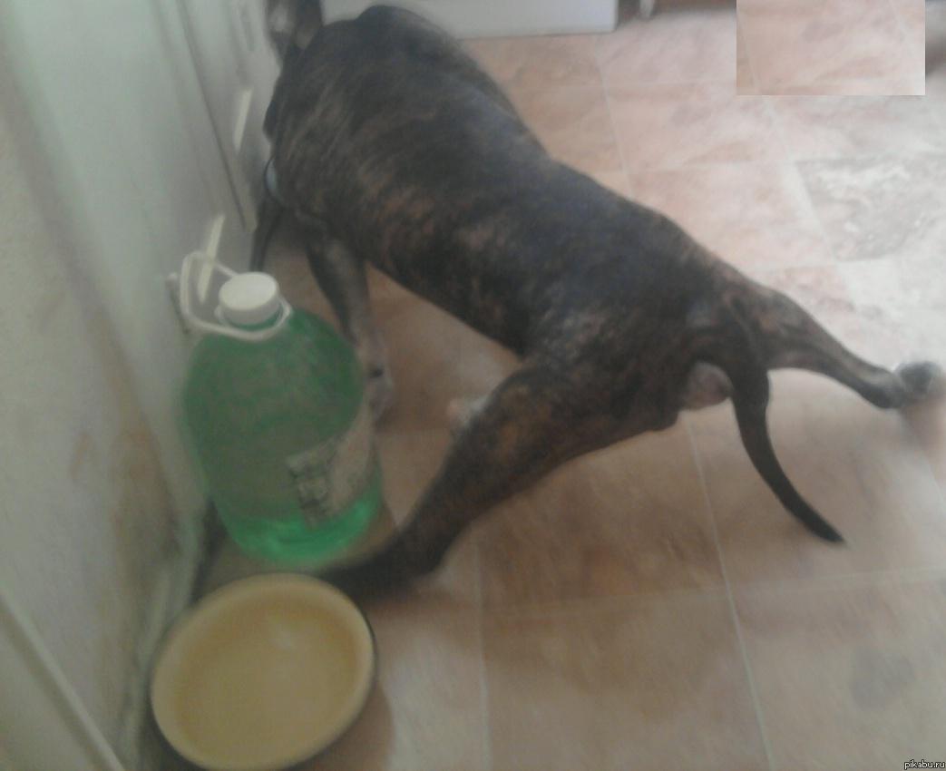 Чак Норис Чак Норис...