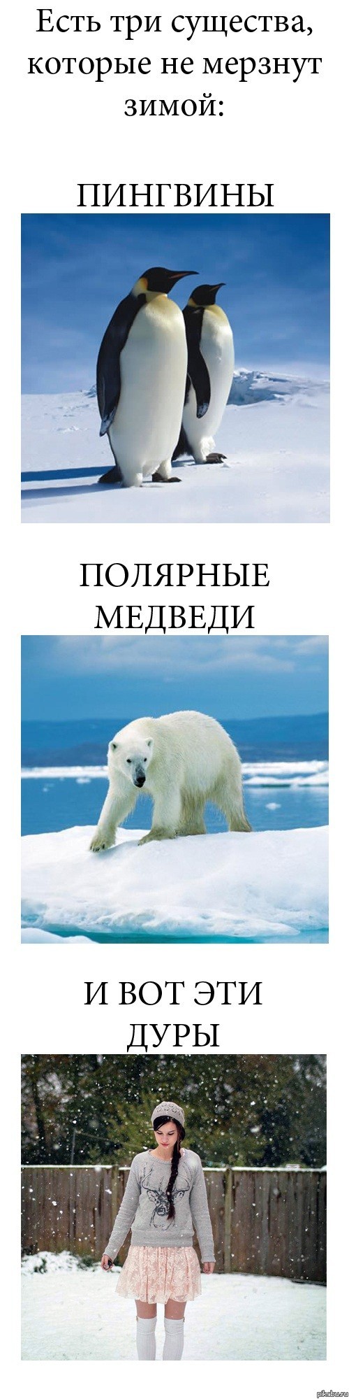 Справедливо