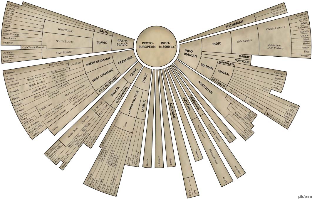 Сегодня - международный день родного языка, он отмечается 21 февраля с 2000 года.