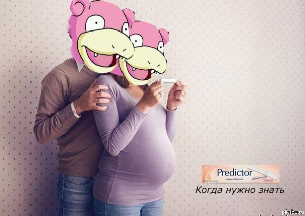   Slowpoke.tv