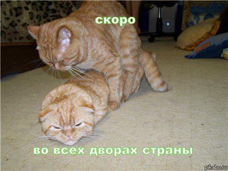 �����, ����� ����� ...