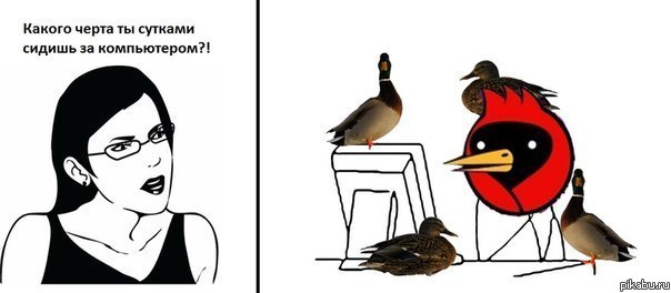 ������ ����