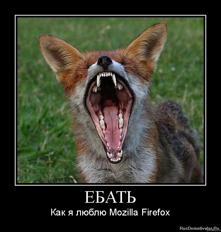Mozilla Firefox