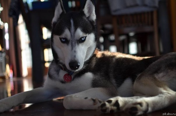 Are you fucking kidding me