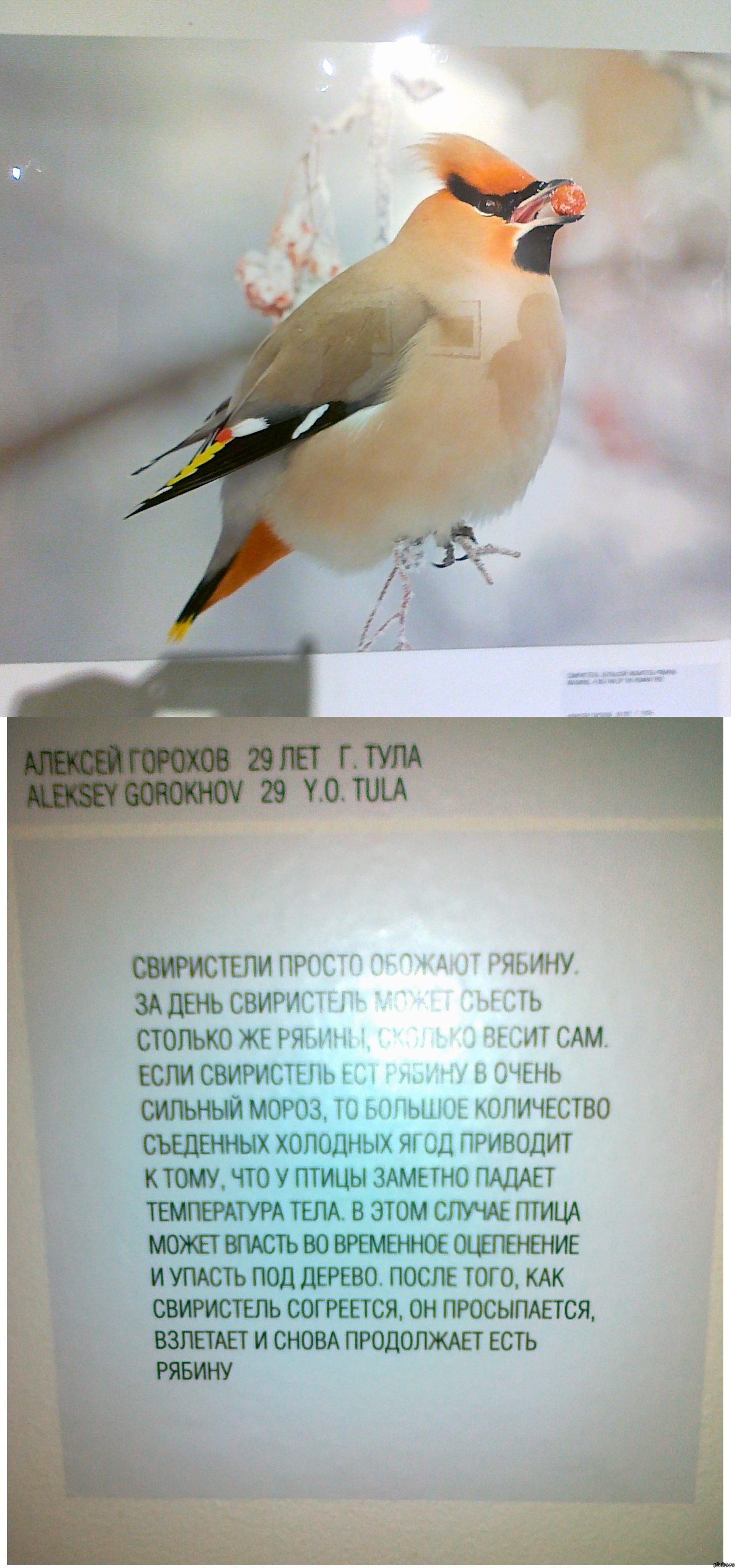 �*��� ��� � ����� ������!