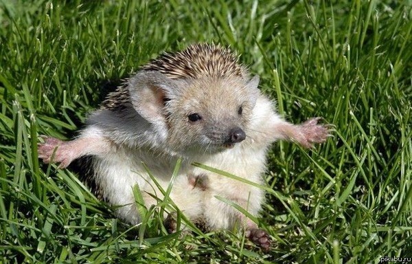 Никому не двигаться, я уронил линзу.