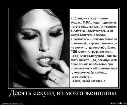 ������ ������ �� ����� ������� ))