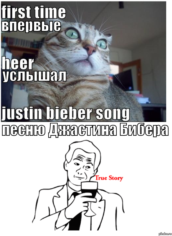 И у котов такая реакция на Д.Бибера.