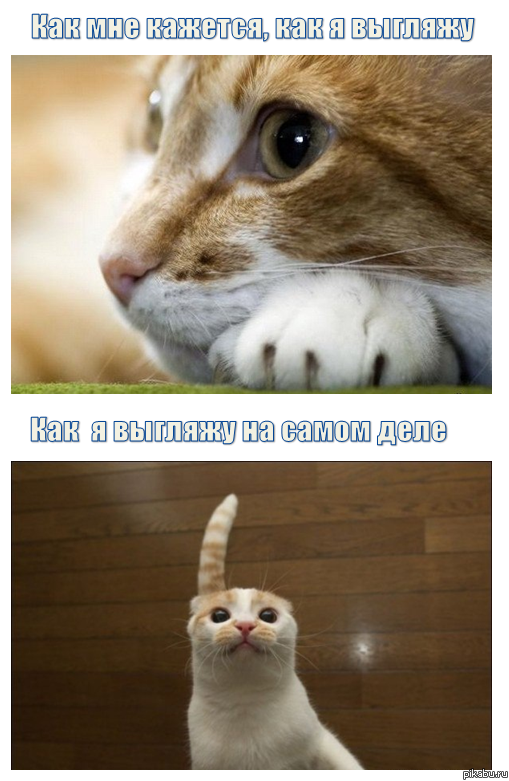 Когда я фотографирую сам себя.