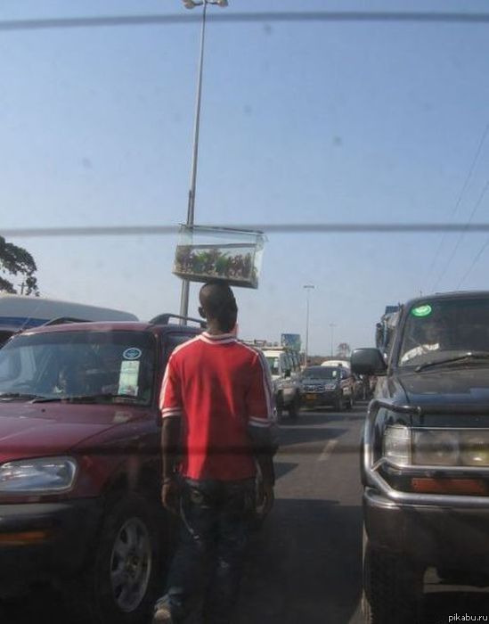 Где же я оставил аквариум?...