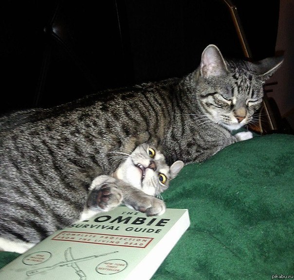 Всегда есть друг, который испортит фотографию