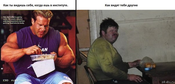 ����������. �����. �������� ������